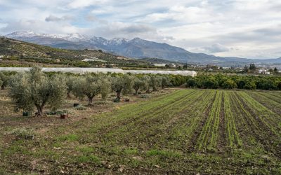 Otoño de 2026 en Granada: Previsiones meteorológicas y claves para proteger los cultivos.